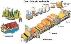 Quy trình sản xuất giấy thời xưa