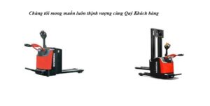 Xe nâng điện Pallet truck dùng cho kho lạnh